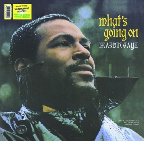 Marvin Gaye: What's Going on [VINYL]