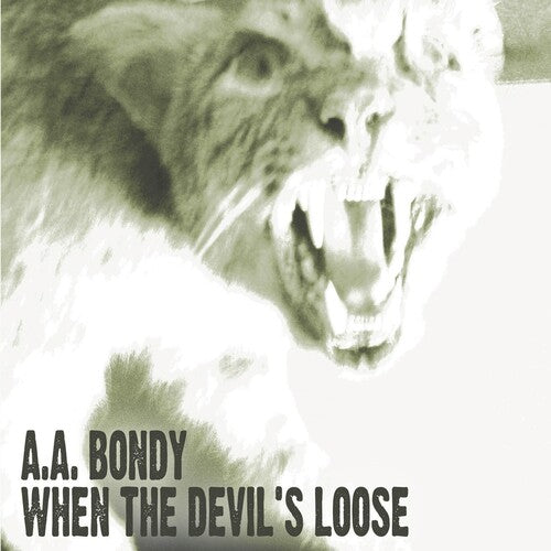 A.A. Bondy: When the Devil's Loose [VINYL]