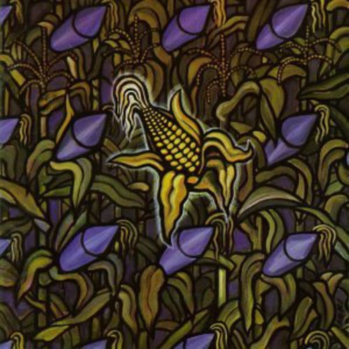 Bad Religion: Against the Grain [VINYL]