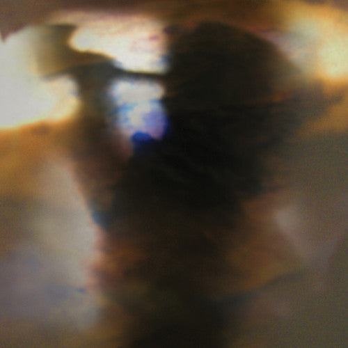 Animal Collective: Fall Be Kind [VINYL]