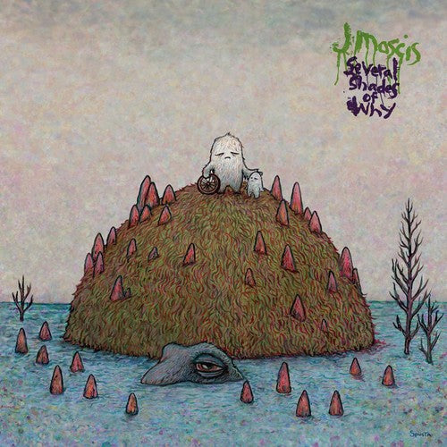 J Mascis: Several Shades of Why [VINYL]