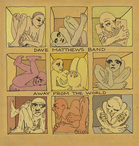 Dave Matthews: Away from the World [VINYL]