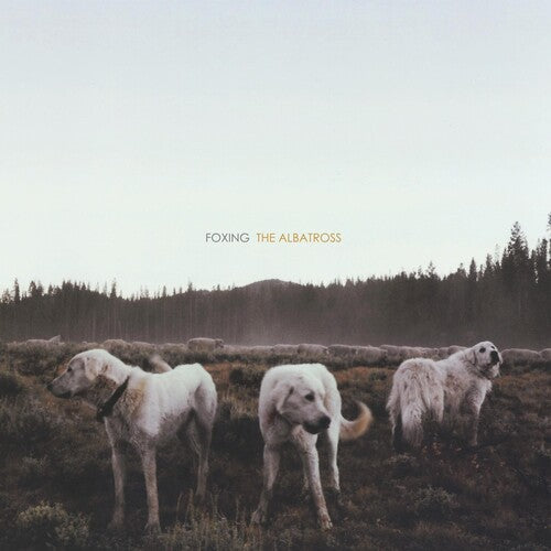 Foxing: Albatross [VINYL]