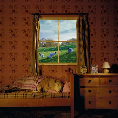 Umphrey's McGee: Safety in Numbers [VINYL]