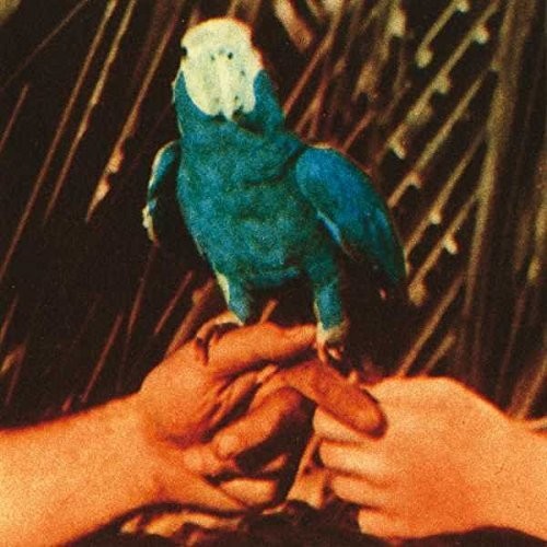 Andrew Bird: Are You Serious [VINYL]
