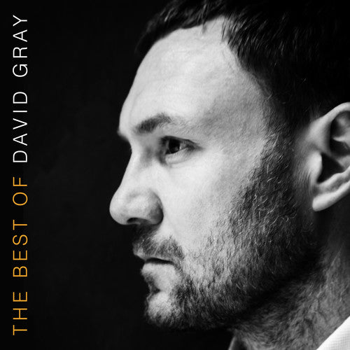 David Gray: The Best Of David Gray [VINYL]