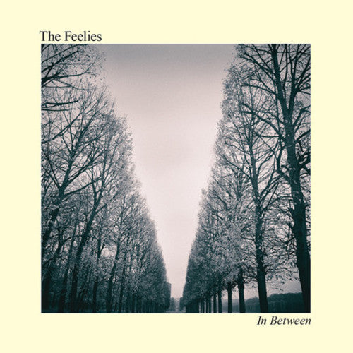 The Feelies: In Between [VINYL]