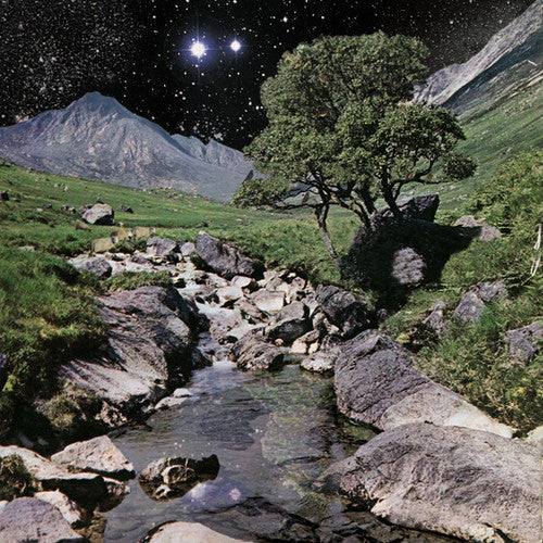 The Beta Band: The Beta Band [VINYL]