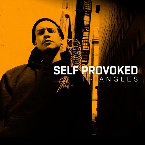 Self Provoked: Triangles [VINYL]