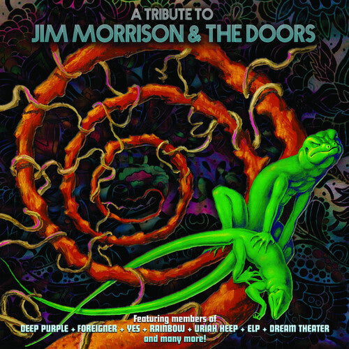 Various Artists: A Tribute To Jim Morrison & The Doors (Various Artists) [VINYL]