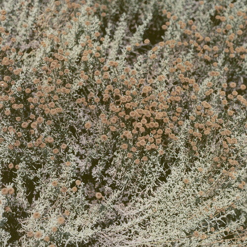 Loving: If I Am Only My Thoughts [VINYL]