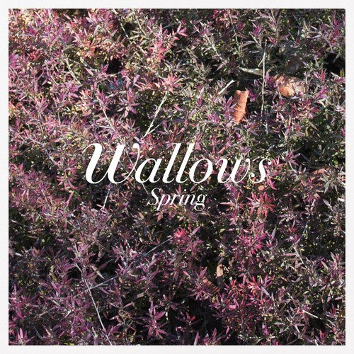 Wallows: Spring [VINYL]