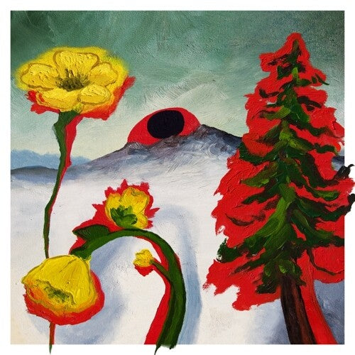 Woods: Strange To Explain [VINYL]