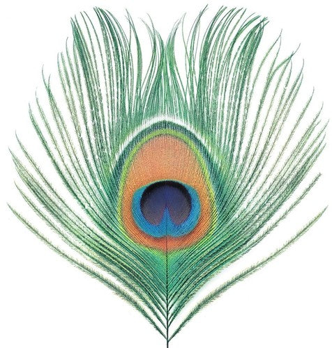 XTC: Apple Venus Vol 1 [VINYL]