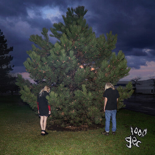 100 gecs: 1000 Gecs [VINYL]