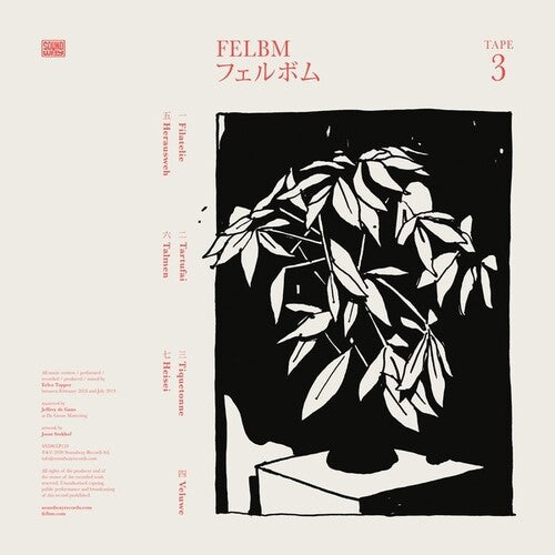 Felbm: Tape 3 / Tape 4 [VINYL]
