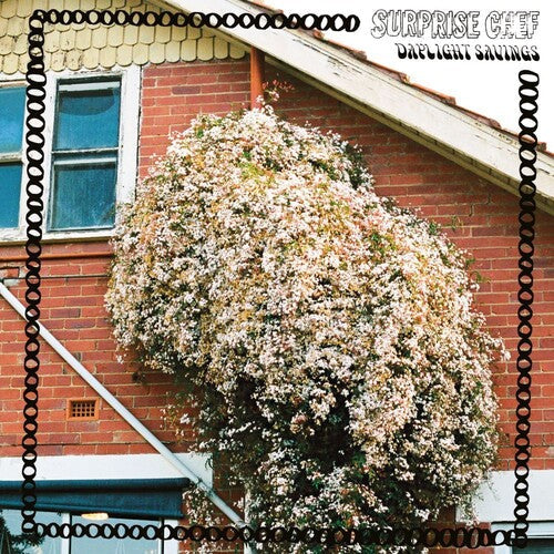 Surprise Chef: Daylight Savings [VINYL]