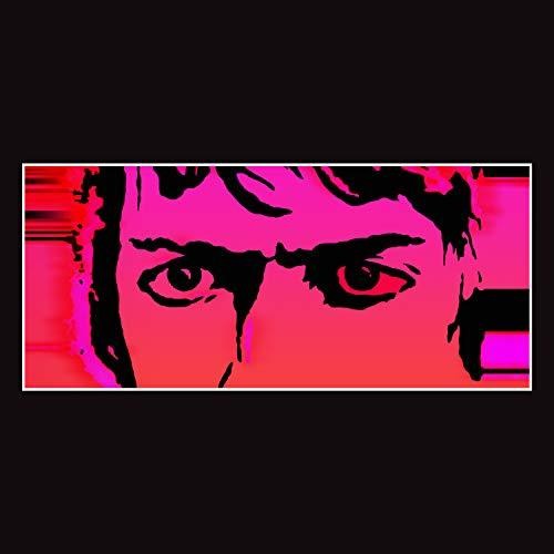 Delicate Steve: Till I Burn Up [VINYL]