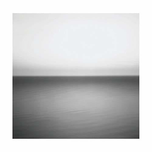 U2: No Line On The Horizon [VINYL]