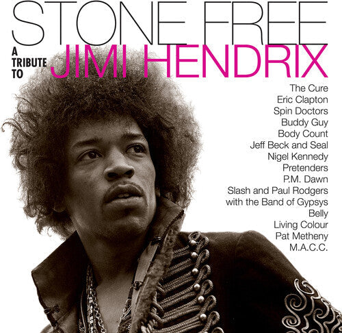 Jimmy Tribute Hendrix: Stone Free: Jimi Hendrix Tribute [VINYL]