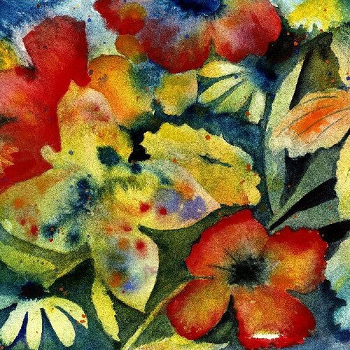 Adrianne Lenker: Songs And Instrumentals [VINYL]