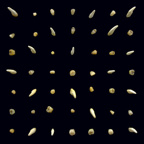 Clipping: Visions Of Bodies Being Burned [VINYL]