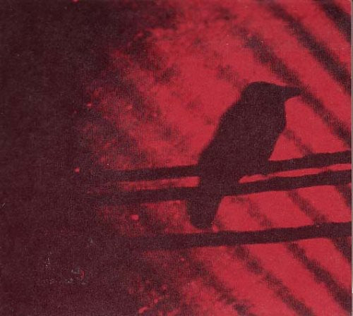 A Silver Mt. Zion: Born Into Trouble As the Sparks Fly Upward [VINYL]