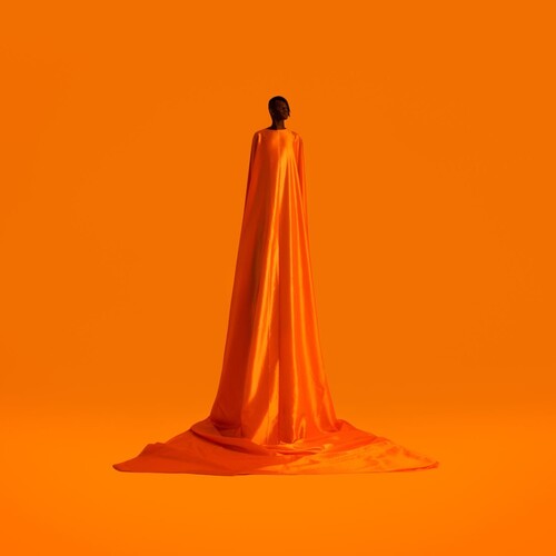 Wayne Snow: Figurine [VINYL]