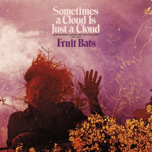 Fruit Bats: Sometimes a Cloud Is Just a Cloud: Slow Growers, Sleeper Hits and Lost Songs (2001–2021) [VINYL]