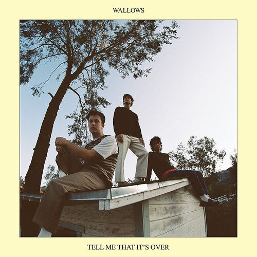 Wallows: Tell Me That It's Over [VINYL]