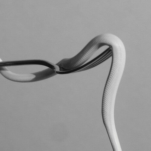 Animals as Leaders: Parrhesia [VINYL]