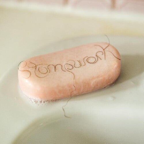 Dry Cleaning: Stumpwork [VINYL]