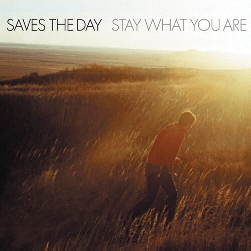 Saves the Day: Stay What You Are [VINYL]