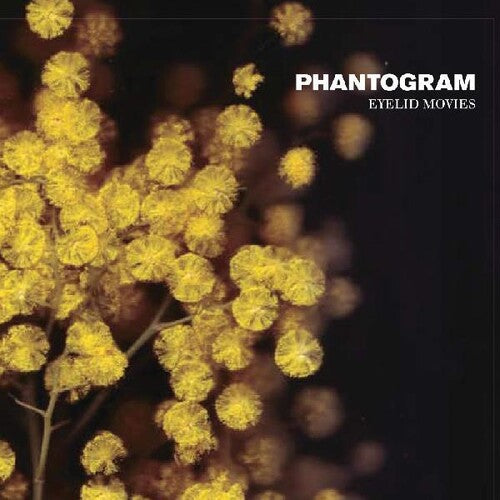 Phantogram: Eyelid Movies [VINYL]