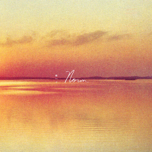 Andy Shauf: Norm [VINYL]