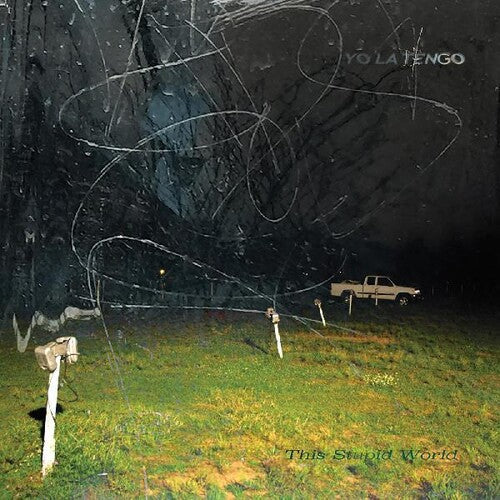 Yo La Tengo: This Stupid World [VINYL]