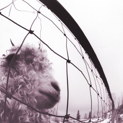 Pearl Jam: Vs. (30th Anniversary Edition) [VINYL]