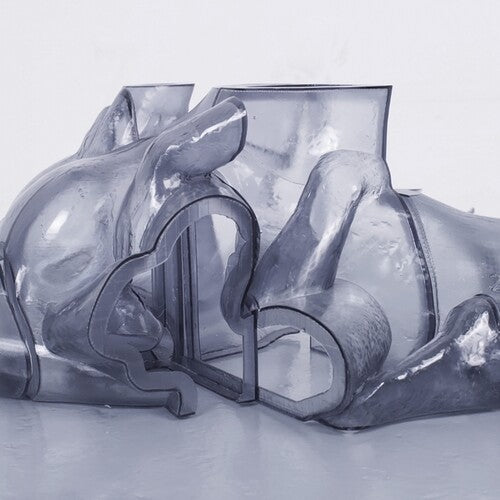 The Carrier: Rhythm Immortal [VINYL]