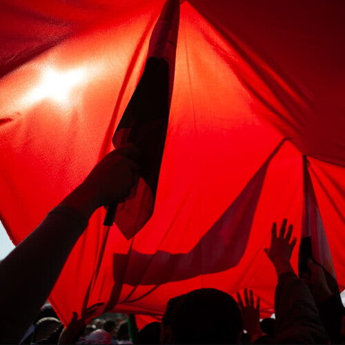 Midnightroba: Raise A Symphony [VINYL]