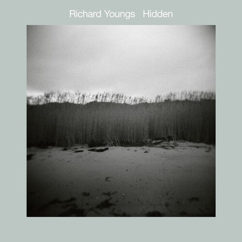 Richard Youngs: Hidden [VINYL]