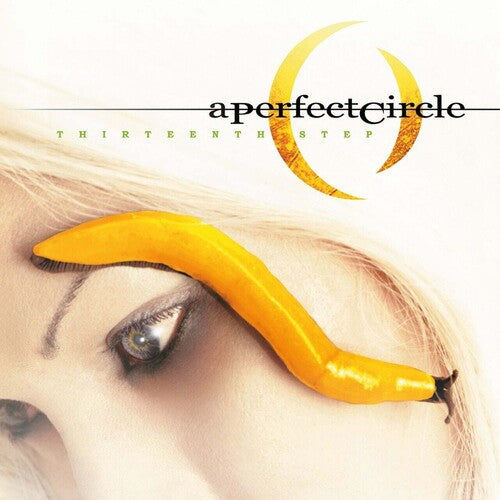 A Perfect Circle: Thirteenth Step [VINYL]